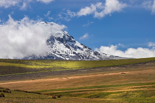 Jones, Adam 아티스트의 Antisana volcano-Antisana National Park-Ecuador작품입니다.